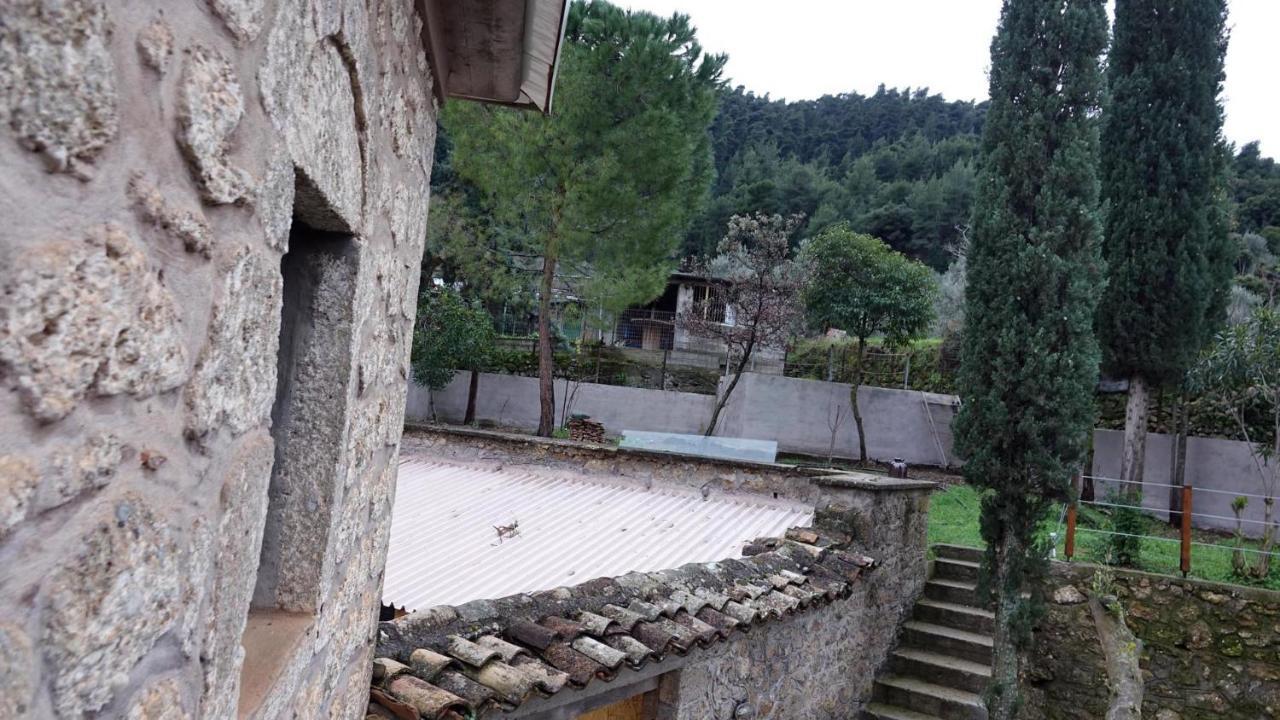 The Old Olive Mill House Villa Aegae Exterior photo